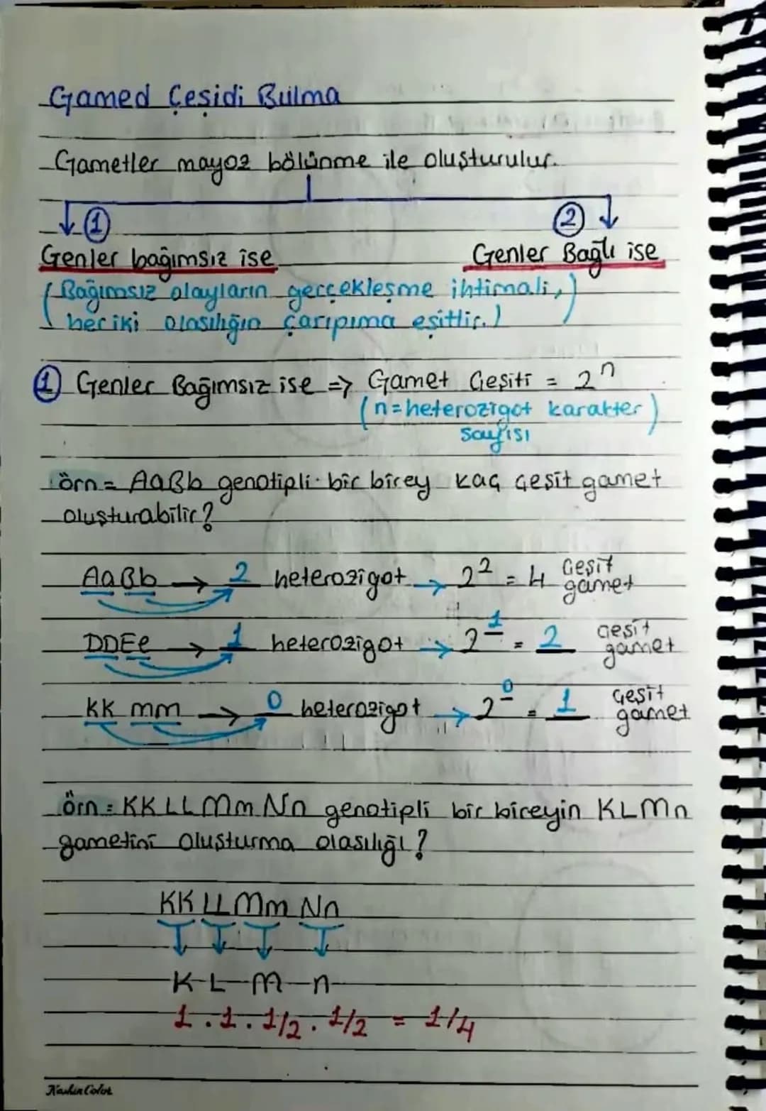 KALITIM
Kalıtımla ilgili Kavramlar
Karakter Canlılarda bulunan her bir özellige
denir. Öca: kao grubu, göz rengi, saç rengi....
Gen => Bir k
