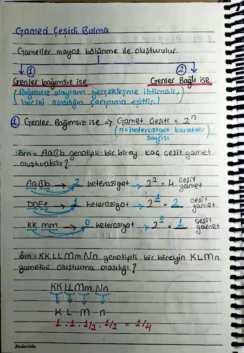 KALITIM
Kalıtımla ilgili Kavramlar
Karakter Canlılarda bulunan her bir özellige
denir. Öca: kao grubu, göz rengi, saç rengi....
Gen => Bir k