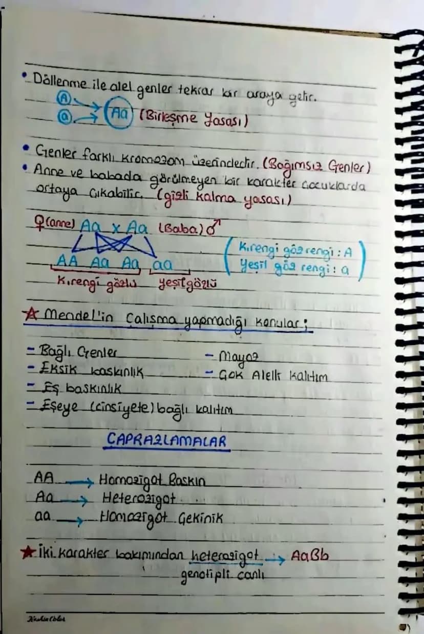 KALITIM
Kalıtımla ilgili Kavramlar
Karakter Canlılarda bulunan her bir özellige
denir. Öca: kao grubu, göz rengi, saç rengi....
Gen => Bir k