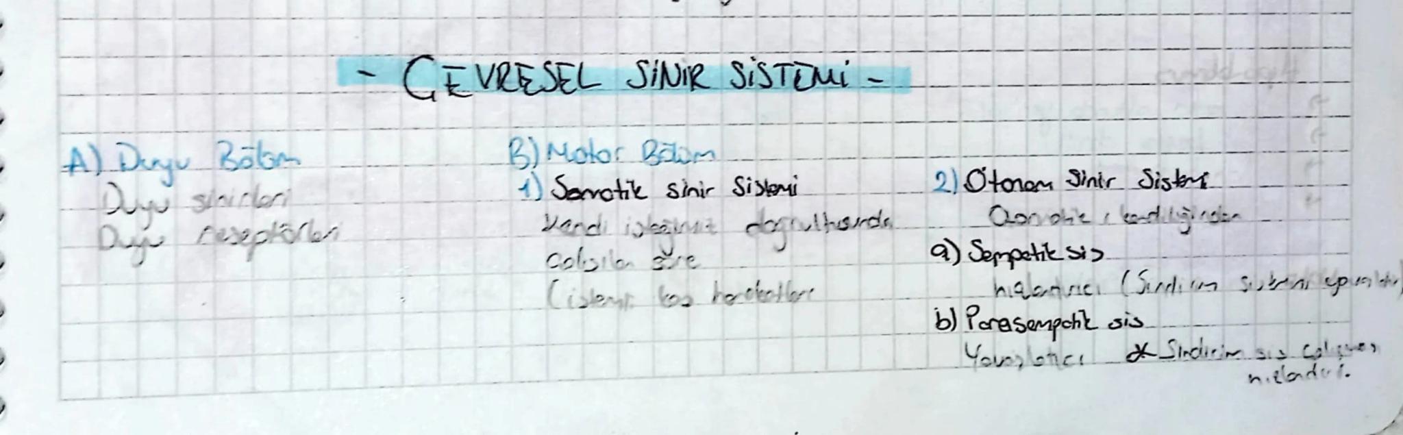 A) Dayu Bölm
Duyu sinirler
Duy reseptörler
GEVRESEL SINIR SİSTEMİ -
B) Motor Bolm
1) Sorotik sinir Sistemi
Dandi stane dogrulhounds
Colsila 