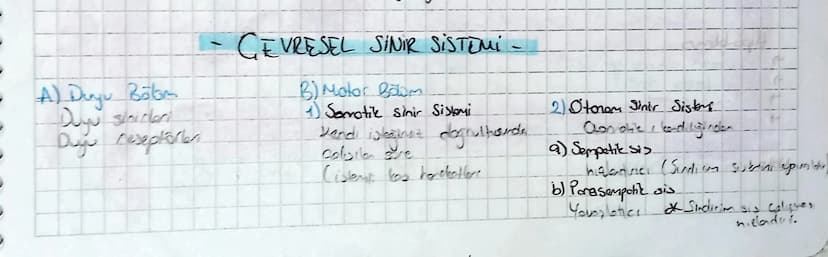 A) Dayu Bölm
Duyu sinirler
Duy reseptörler
GEVRESEL SINIR SİSTEMİ -
B) Motor Bolm
1) Sorotik sinir Sistemi
Dandi stane dogrulhounds
Colsila 
