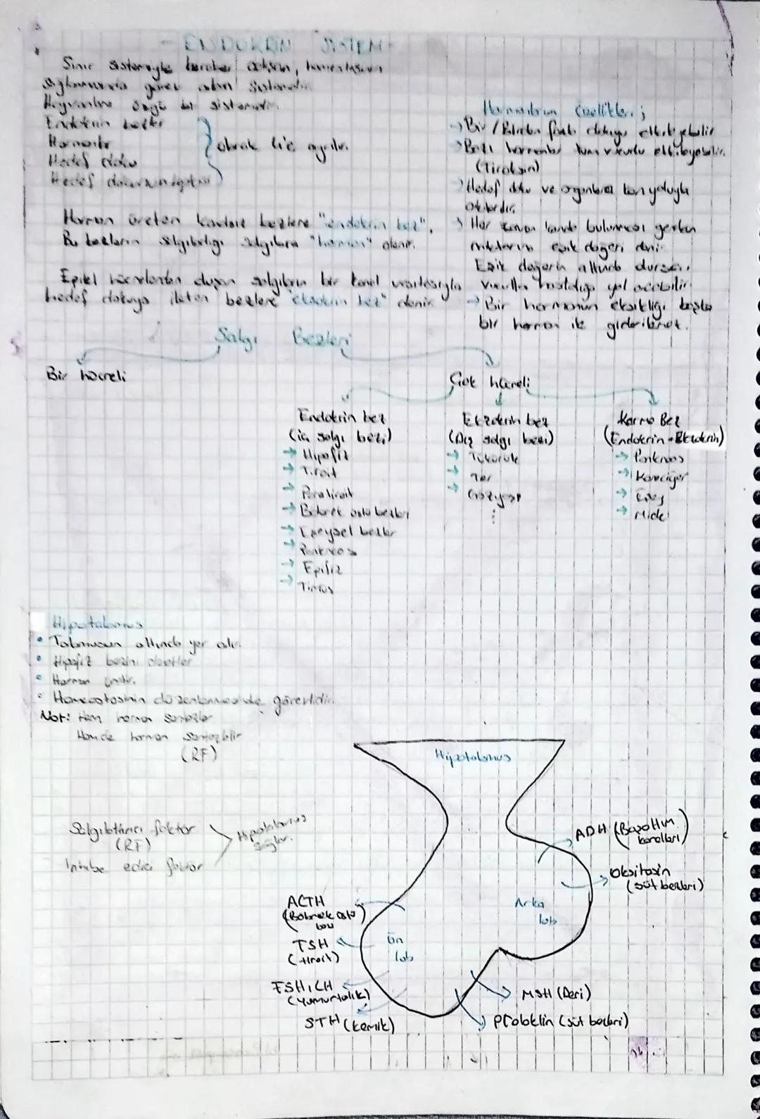 A) Dayu Bölm
Duyu sinirler
Duy reseptörler
GEVRESEL SINIR SİSTEMİ -
B) Motor Bolm
1) Sorotik sinir Sistemi
Dandi stane dogrulhounds
Colsila 