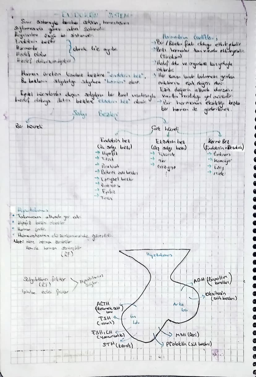 A) Dayu Bölm
Duyu sinirler
Duy reseptörler
GEVRESEL SINIR SİSTEMİ -
B) Motor Bolm
1) Sorotik sinir Sistemi
Dandi stane dogrulhounds
Colsila 