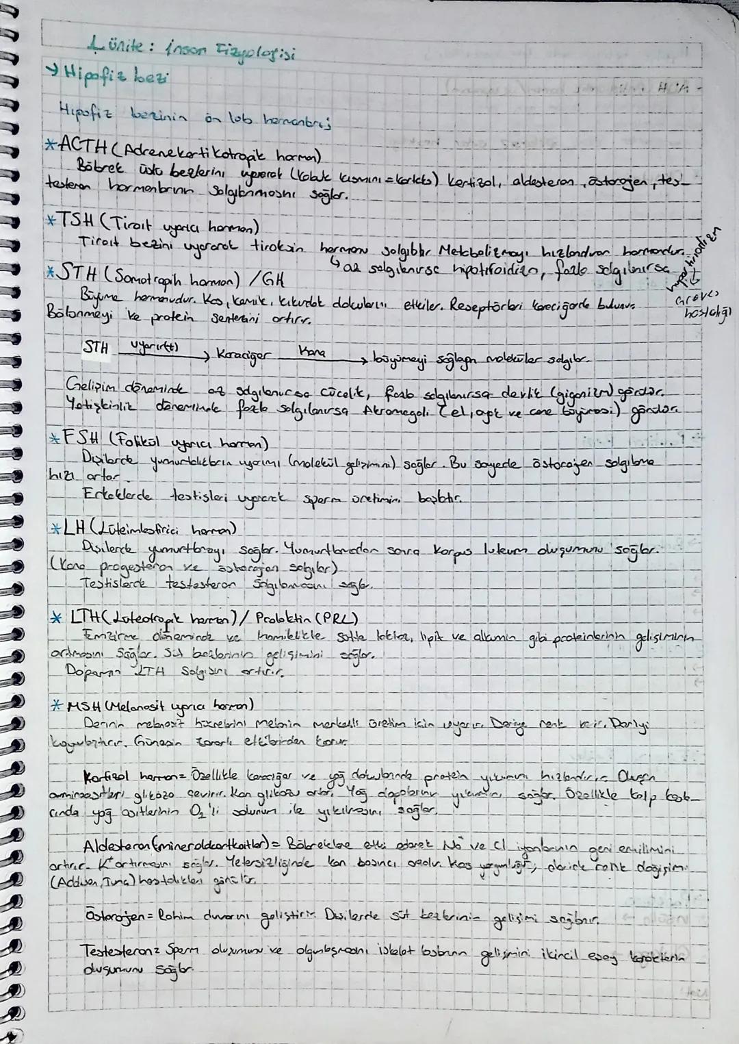 A) Dayu Bölm
Duyu sinirler
Duy reseptörler
GEVRESEL SINIR SİSTEMİ -
B) Motor Bolm
1) Sorotik sinir Sistemi
Dandi stane dogrulhounds
Colsila 