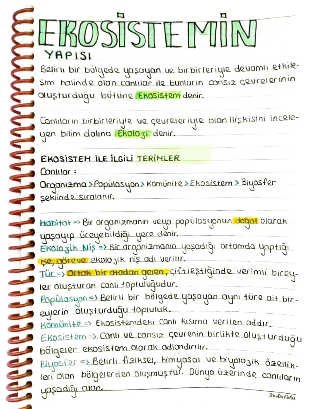 EROSİSTEMİN
YAPISI
Belirli bir bölgede yaşayan ve birbirleriyle devamli etkile-
Şim halinde olan canlılar ile bunların cansız çevrelerinin
O