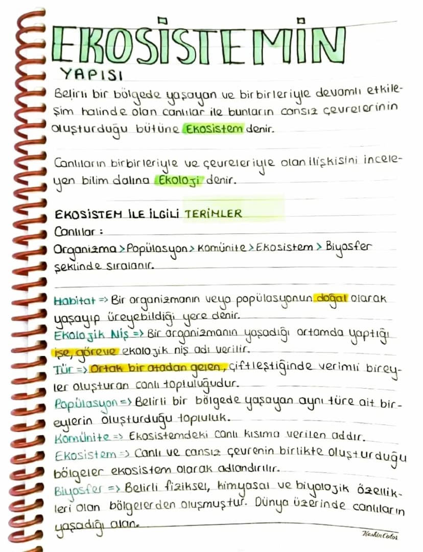 EROSİSTEMİN
YAPISI
Belirli bir bölgede yaşayan ve birbirleriyle devamli etkile-
Şim halinde olan canlılar ile bunların cansız çevrelerinin
O