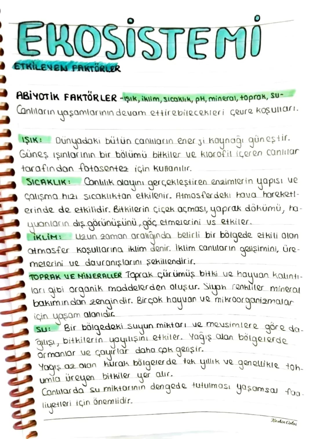 EROSİSTEMİN
YAPISI
Belirli bir bölgede yaşayan ve birbirleriyle devamli etkile-
Şim halinde olan canlılar ile bunların cansız çevrelerinin
O