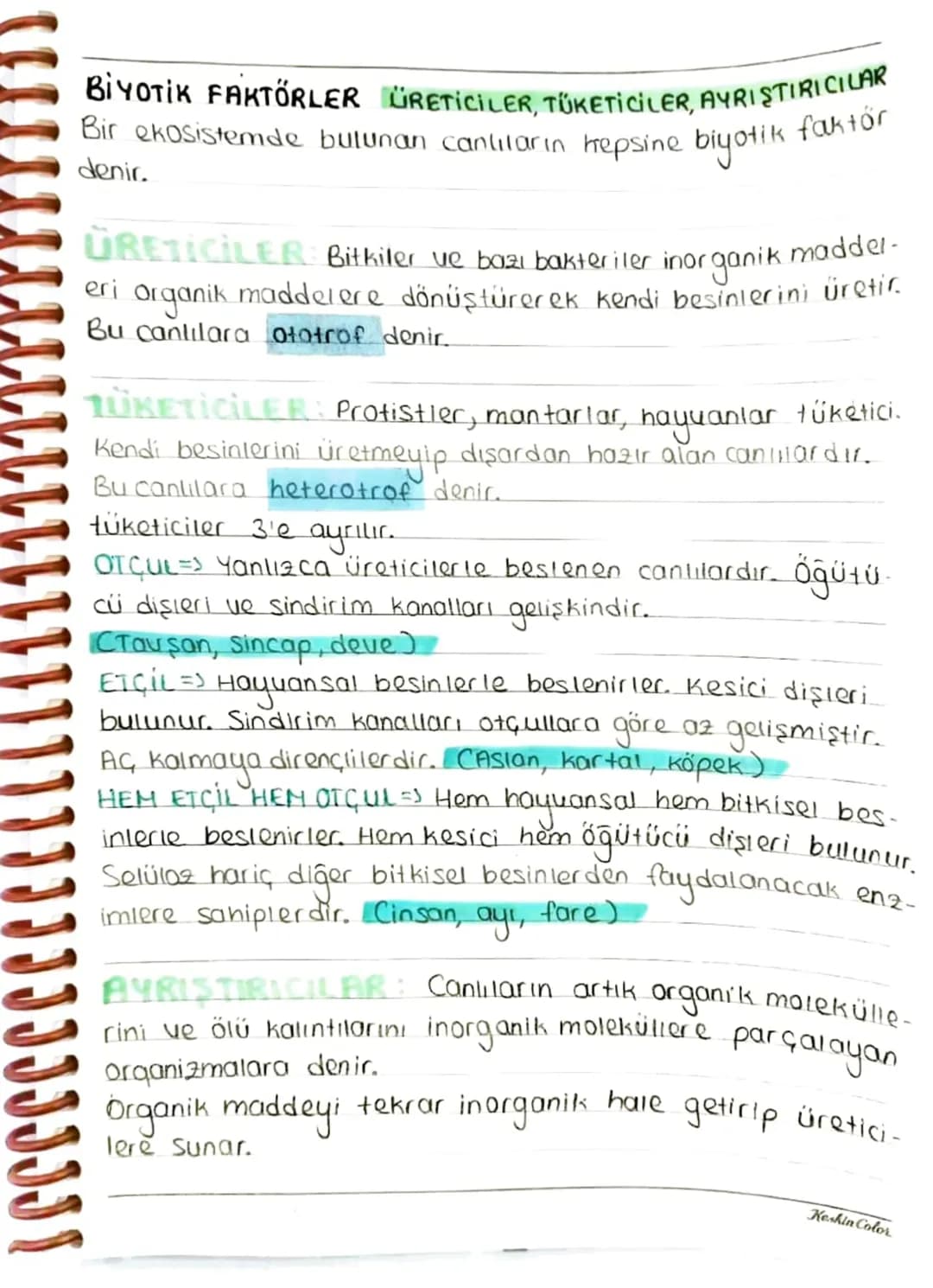 EROSİSTEMİN
YAPISI
Belirli bir bölgede yaşayan ve birbirleriyle devamli etkile-
Şim halinde olan canlılar ile bunların cansız çevrelerinin
O