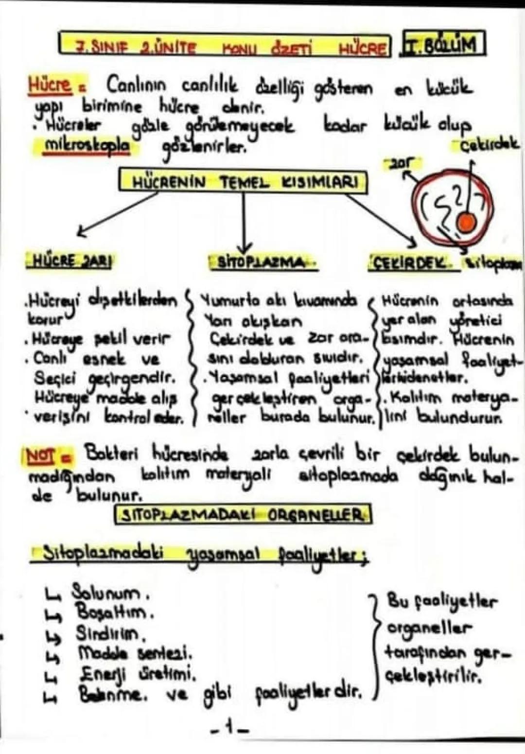 7. SINIF 2.UNITE KONU dZETİ HUCRE TBOLUM
Hücre Canlının canlılık dzelliği gösteren en kükük
yopi birimine hücre denir.
Hücreler gdale gonile