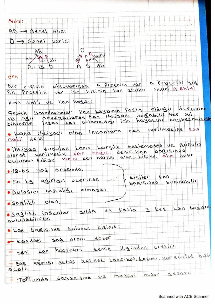 insanların
alyuvarlarında
grubu belirler.
Alsuvarlarda Bulunan
Protein
bulunan
Proteinleri Kişinin
кол
Kan
Grubu
A
B
A Grubu
BiGrubu
Ave B
A