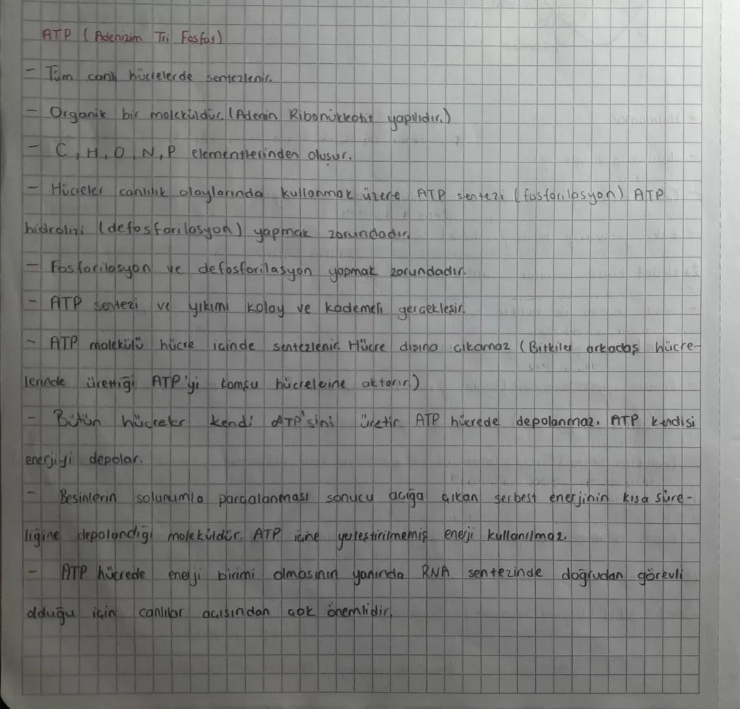 ATP ve ATP'nin Yapısı