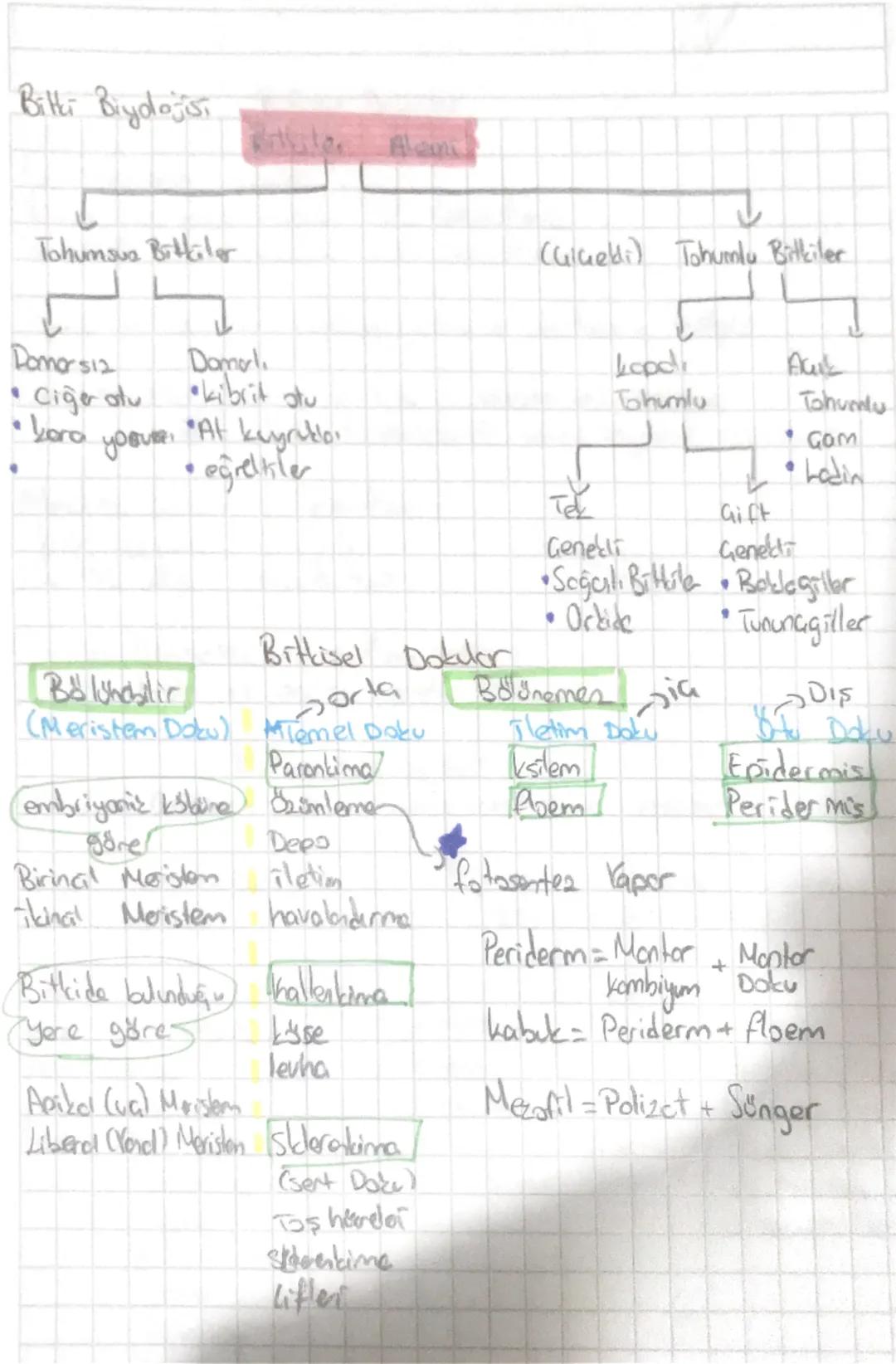 BİTKİ BİYOLOJİSİ