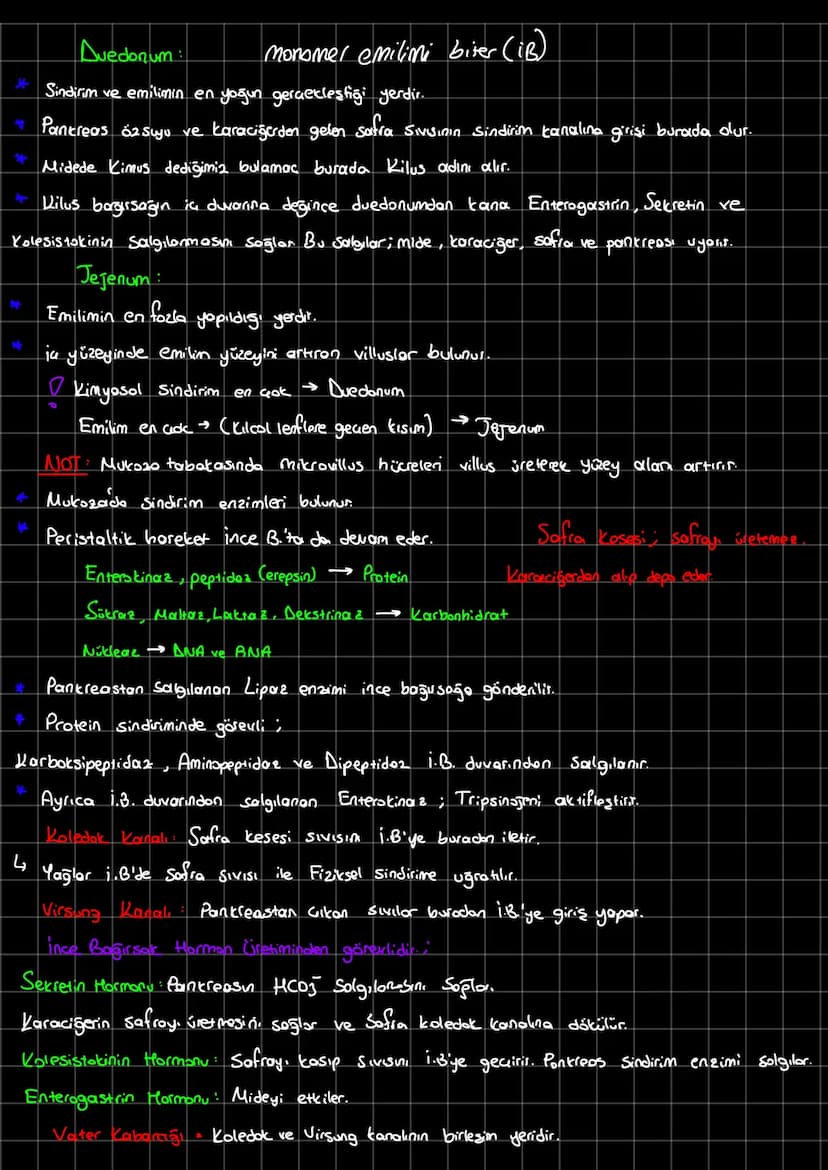 Glikojen + Su
enzim
n(glikoz)
Hem is
Hem dis
Gnzim
Trigliserit +Su
Gliserol + Yağ Asidi
Hemia Hem dis
enam
Maltos +Su
Glukoz Glukoz
Hicre di
