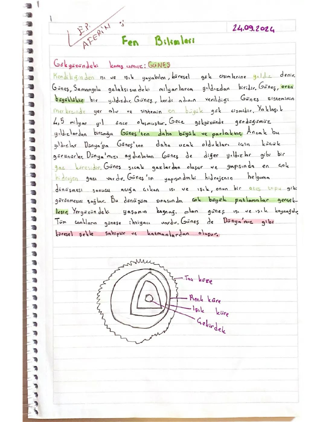 5. Sınıf Fen Bilimleri - 1. Ünite Özeti