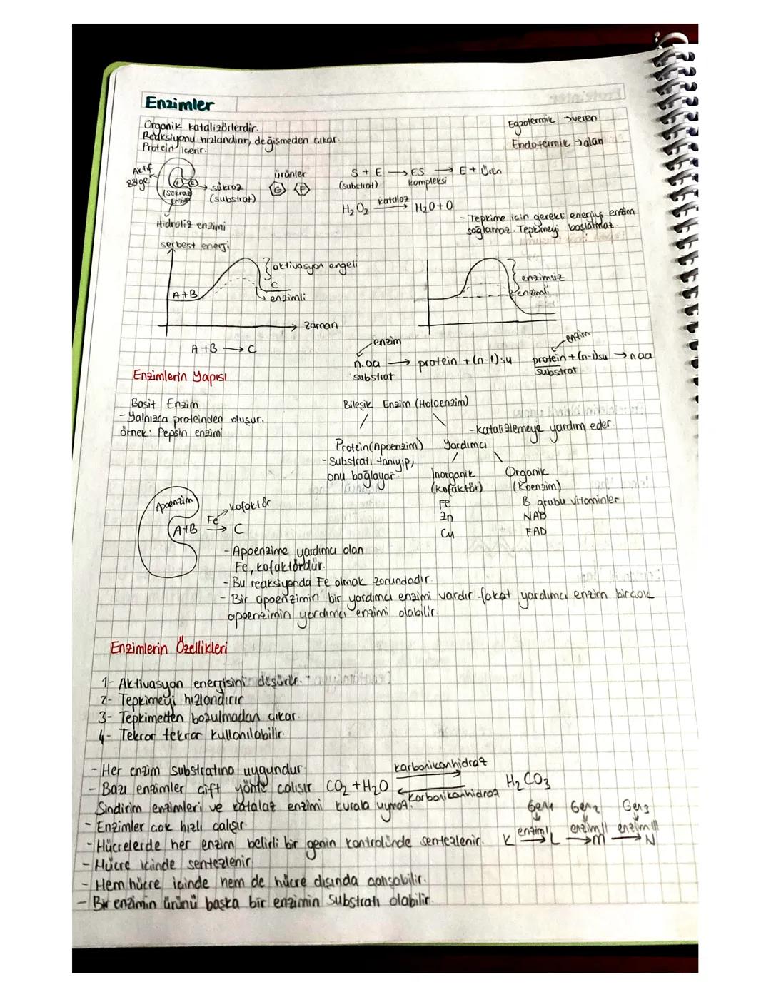 Enzimler Ders Notu