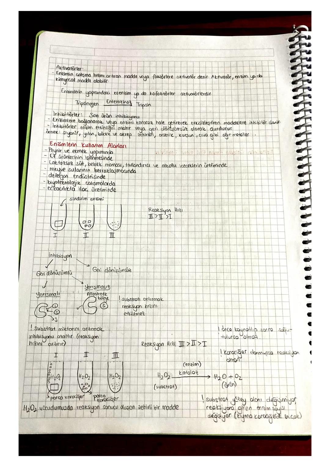 Enzimler
Protein icerir
Organik katalizörlerdir.
Reaksiyonu hralanding, değişmeden cikar
Egzotermik veren
Endotermik alan
Aktif
ürünler
Bge
