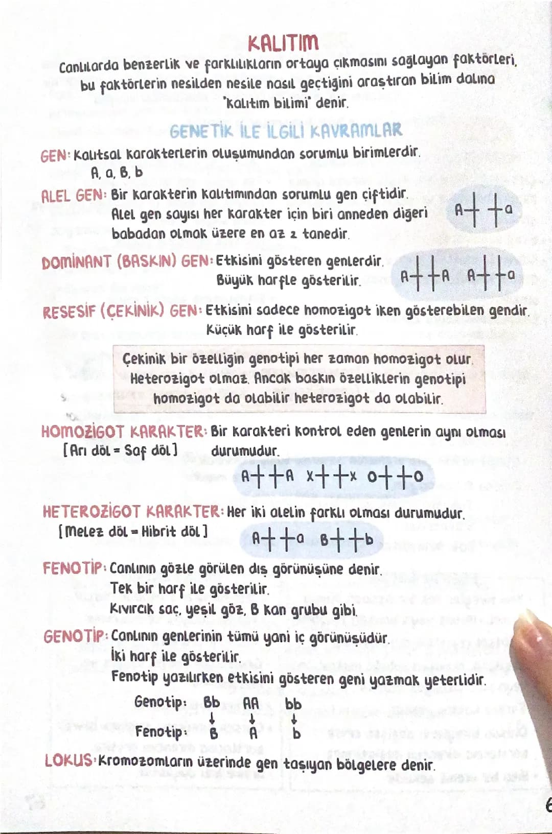 tyt biyoloji kalıtım