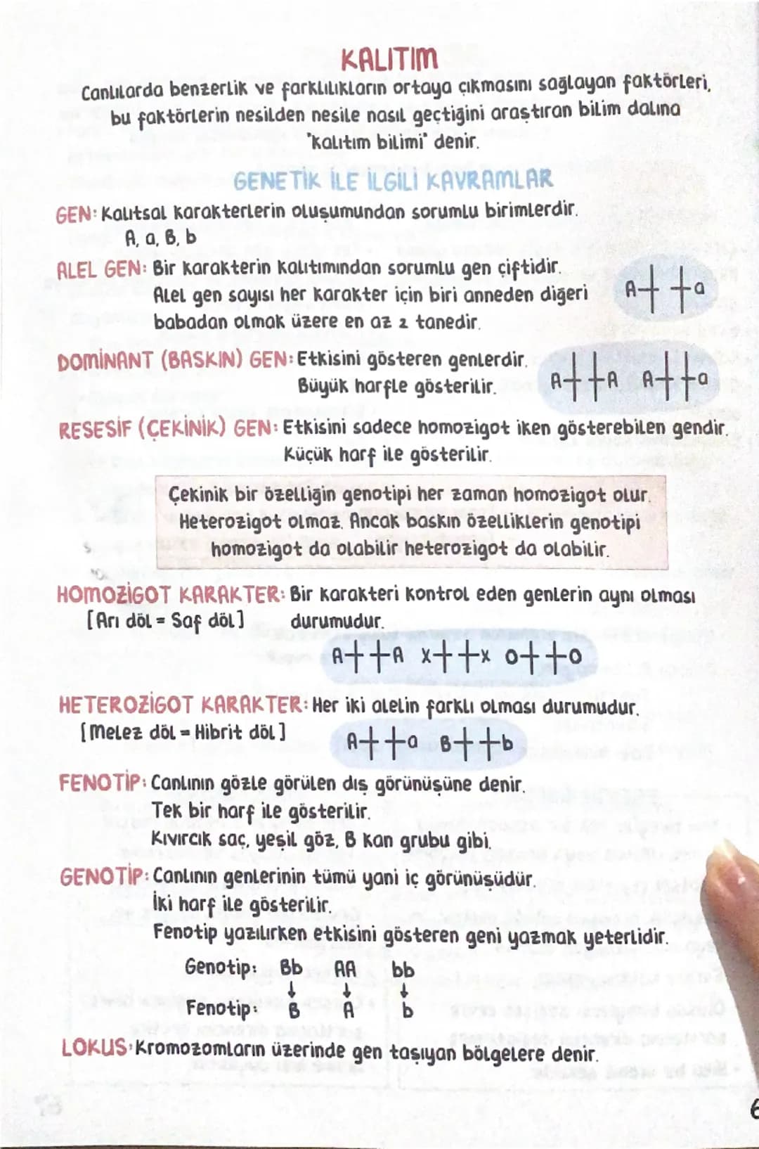 --- OCR Start ---
KALITIM
Canlılarda benzerlik ve farklılıkların ortaya çıkmasını sağlayan faktörleri,
bu faktörlerin nesilden nesile nasıl 