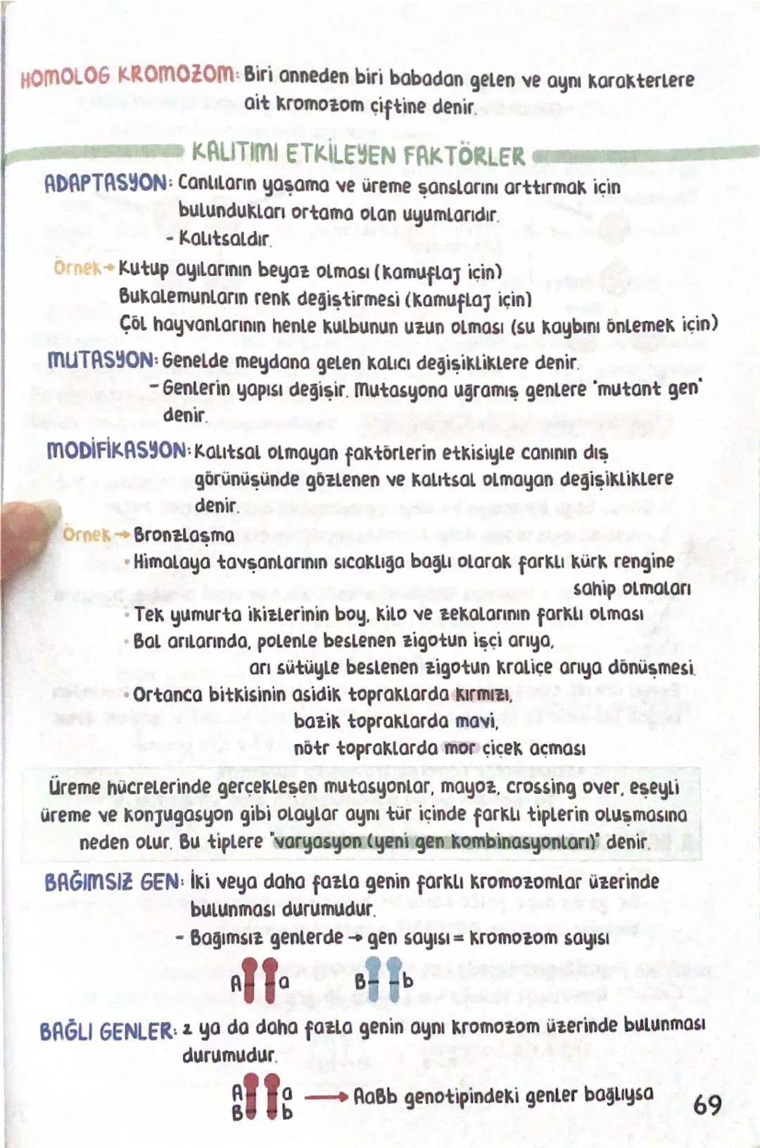--- OCR Start ---
KALITIM
Canlılarda benzerlik ve farklılıkların ortaya çıkmasını sağlayan faktörleri,
bu faktörlerin nesilden nesile nasıl 