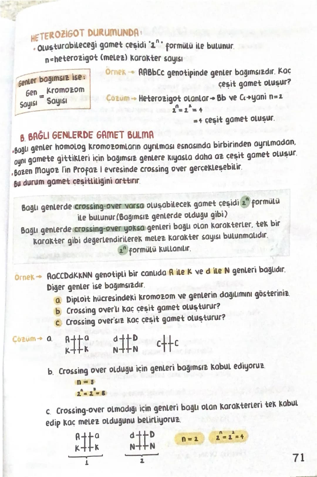 --- OCR Start ---
KALITIM
Canlılarda benzerlik ve farklılıkların ortaya çıkmasını sağlayan faktörleri,
bu faktörlerin nesilden nesile nasıl 