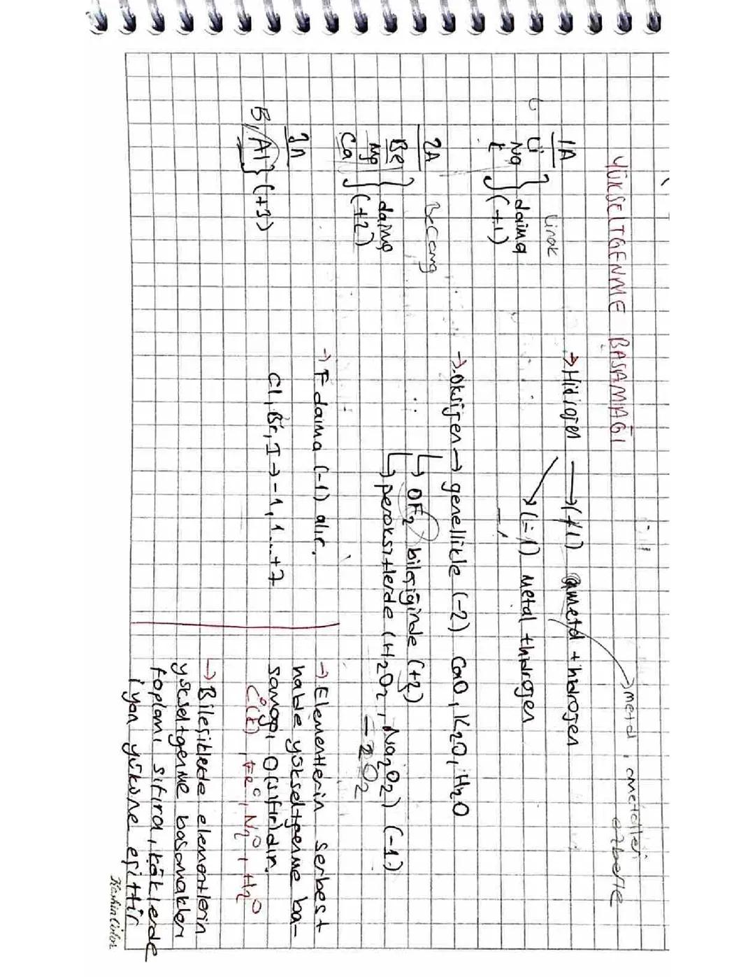 Yükseltgenme basamağı 