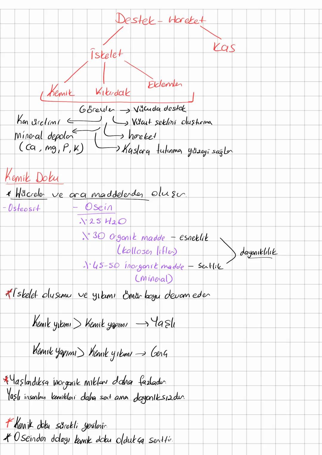 # Destek - Horeket

Kas

Iskelet

Eklemler

Kemik

Kıkırdak

Kan vüretimi
Göreulen Vücuda destek

→ Vücut seklini oluşturma

Mineral depola
