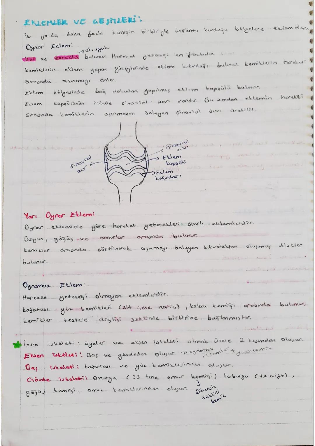DESTEK VE HAREKET
- SISTEMI
Görevleri
ve
Destek
- Vücuda setil verir
-ia Organlor, korur. - kemikler
Hareket Sisteminin
ve destek sağlar.
~J