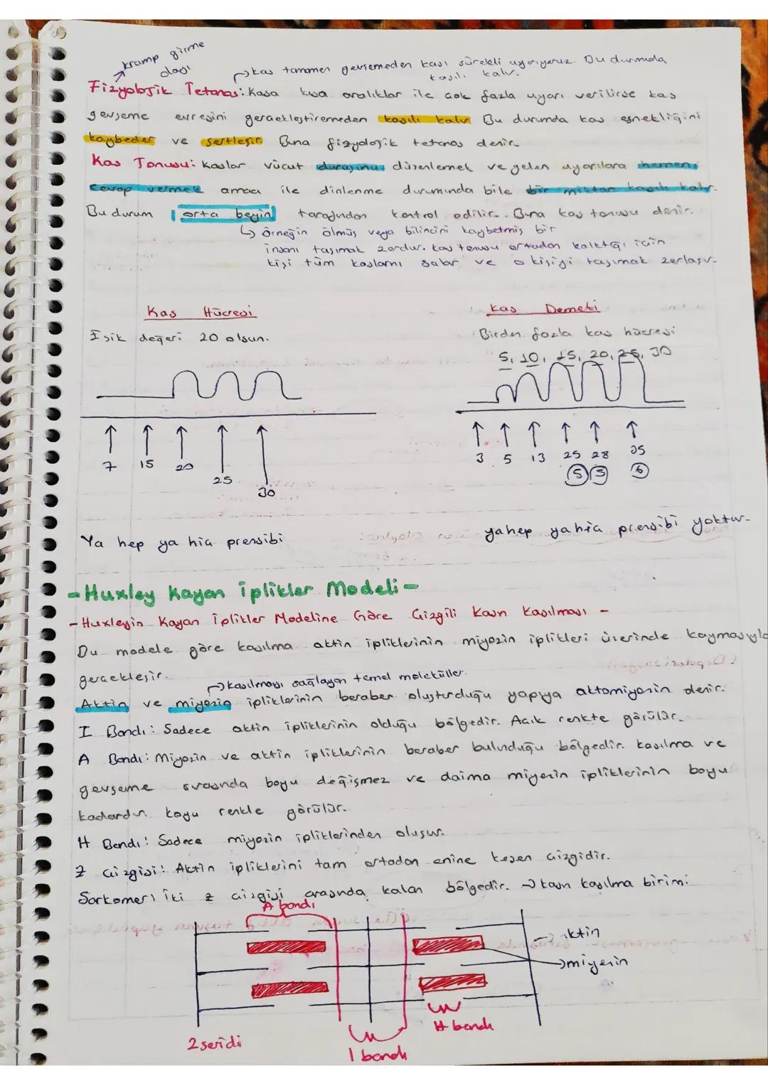 DESTEK VE HAREKET
- SISTEMI
Görevleri
ve
Destek
- Vücuda setil verir
-ia Organlor, korur. - kemikler
Hareket Sisteminin
ve destek sağlar.
~J