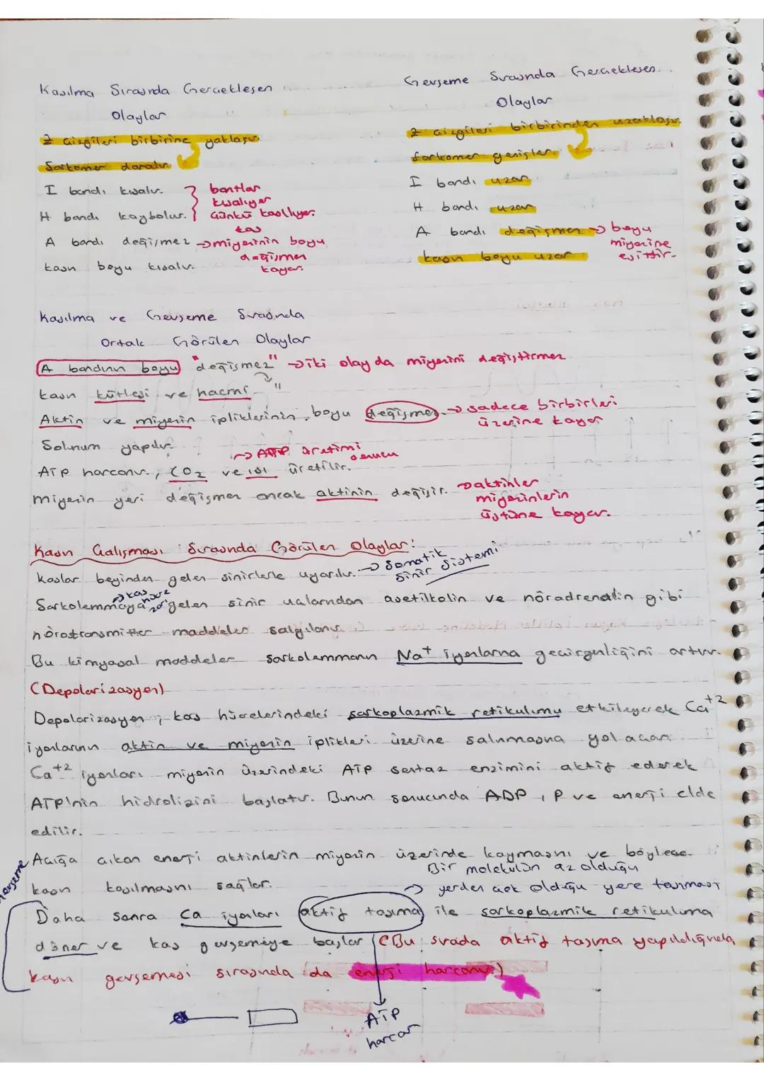DESTEK VE HAREKET
- SISTEMI
Görevleri
ve
Destek
- Vücuda setil verir
-ia Organlor, korur. - kemikler
Hareket Sisteminin
ve destek sağlar.
~J