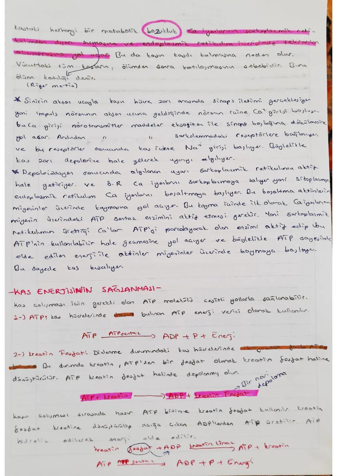 DESTEK VE HAREKET
- SISTEMI
Görevleri
ve
Destek
- Vücuda setil verir
-ia Organlor, korur. - kemikler
Hareket Sisteminin
ve destek sağlar.
~J