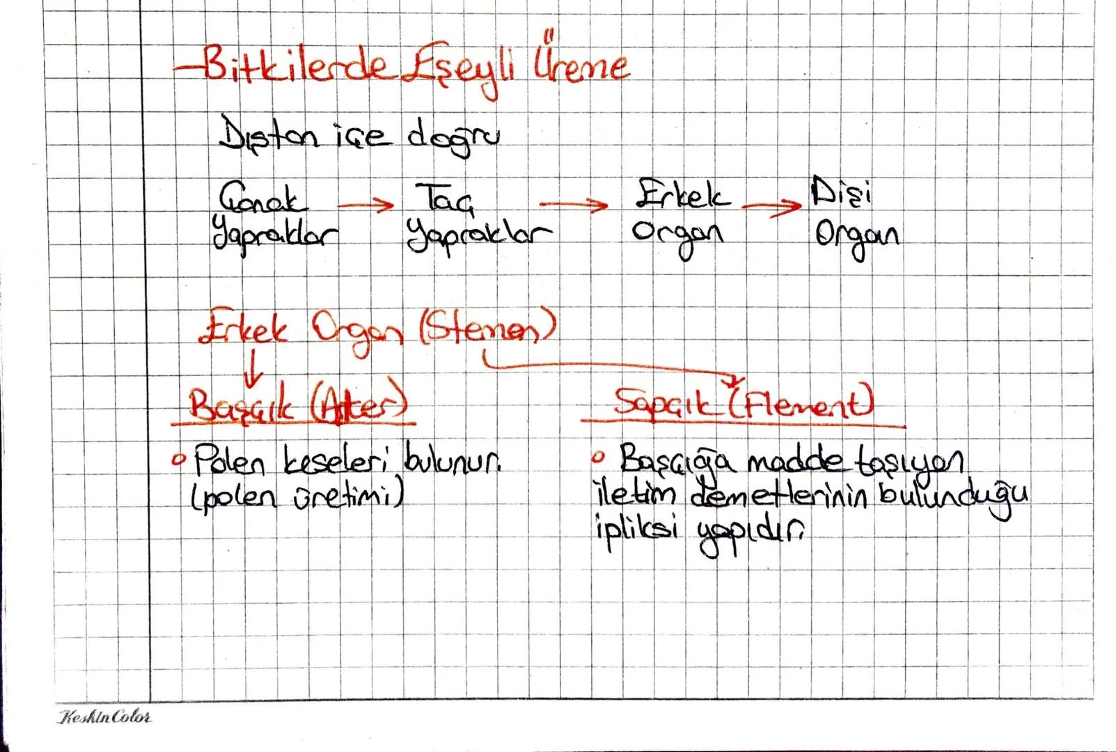 Keskin Color
Bitkilerde Eşeyli Creme
Diston ice doğru
Ganak
Tag
Erkek
Disi
Yapraklar
Yapraklar
отдал
Organ
Erkek Organ (Stemen)
Barack (Alte