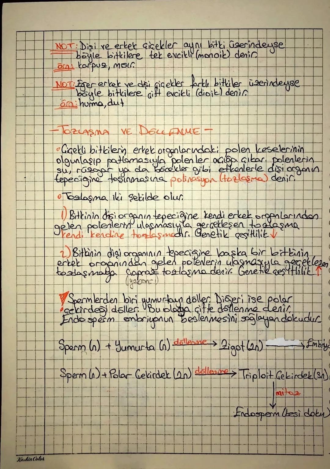 Keskin Color
Bitkilerde Eşeyli Creme
Diston ice doğru
Ganak
Tag
Erkek
Disi
Yapraklar
Yapraklar
отдал
Organ
Erkek Organ (Stemen)
Barack (Alte