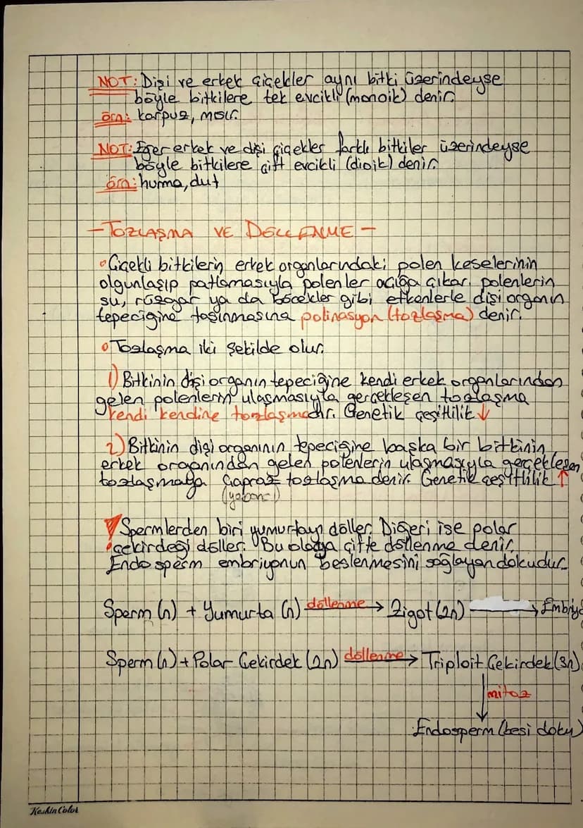 Keskin Color
Bitkilerde Eşeyli Creme
Diston ice doğru
Ganak
Tag
Erkek
Disi
Yapraklar
Yapraklar
отдал
Organ
Erkek Organ (Stemen)
Barack (Alte
