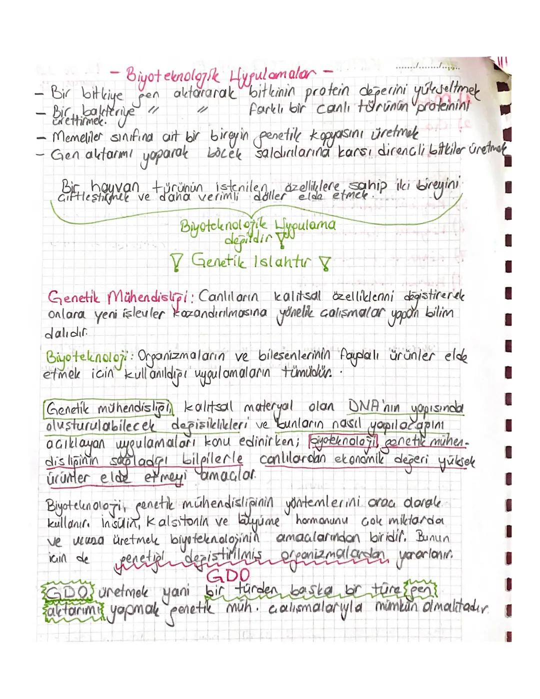 Biyoteknolojik uygulamalar