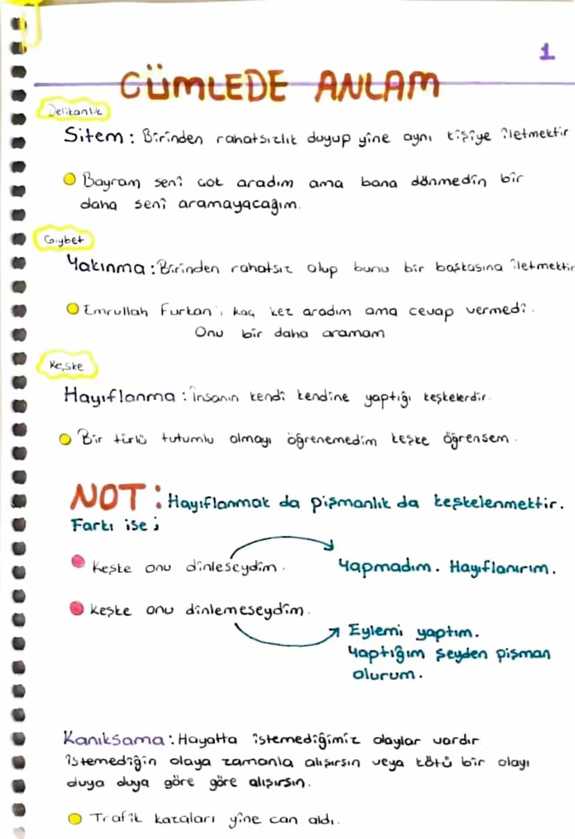 1
Delikanlik
CÜMLEDE ANLAM
Sitem: Birinden rahatsızlık duyup yine aynı kişiye iletmektir
Bayram sen? Got aradım ama
bana dönmedin bir
Gıybet
