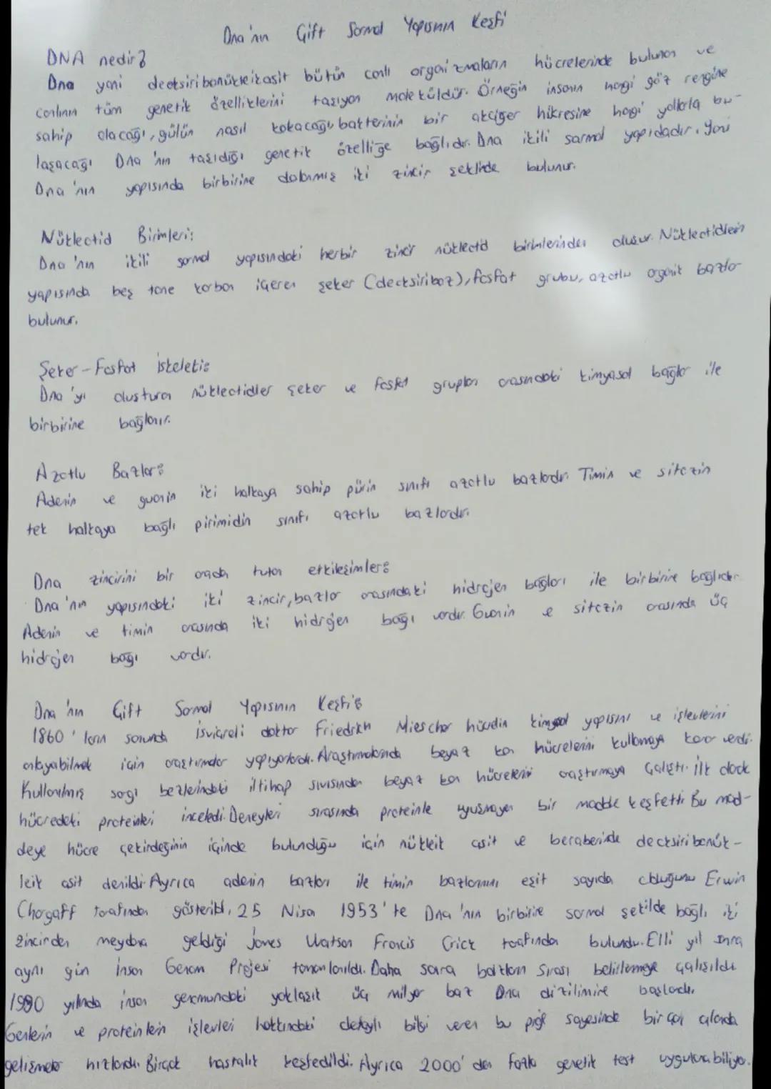 Biyoloji DNA'nın Sarmal Yapısı 