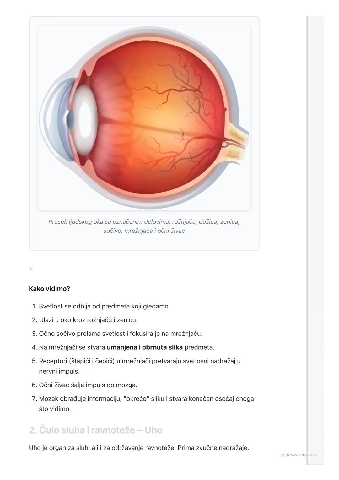 # Čula

Uvod u čula

Čula nam omogućavaju da primamo informacije iz spoljašnje sredine. To su
naši "prozori u svet". Preko njih vidimo, čuje