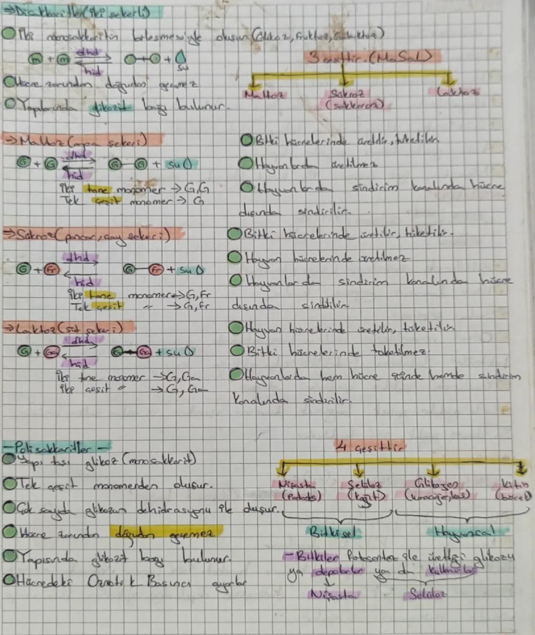 - Disakkaritler (iki sekerli)

Oila nanosakkaritin bileşmesiyle oluşun (like 2, fruktoz, Ginh khoe)

$m + m \xrightarrow{dhd} G + G + SU$

h