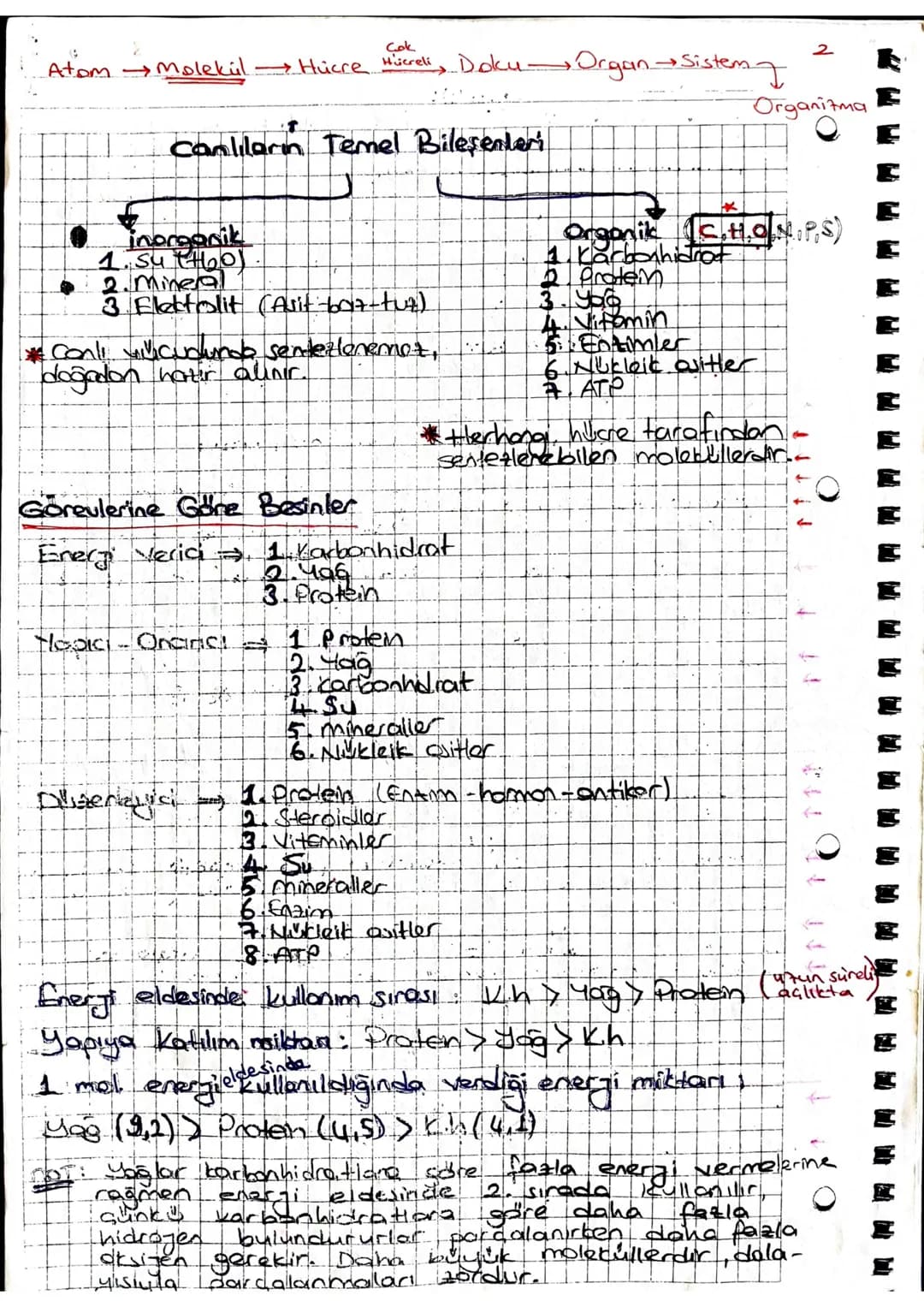 Cok
Atom Molekul Hücre Hücreli, Doku Organ Sistem
Canlıların Temel Bileşenleri
inorganik
1. 5477601
• 2. Mineral
3. Elektrolit (Asit-6017-tu