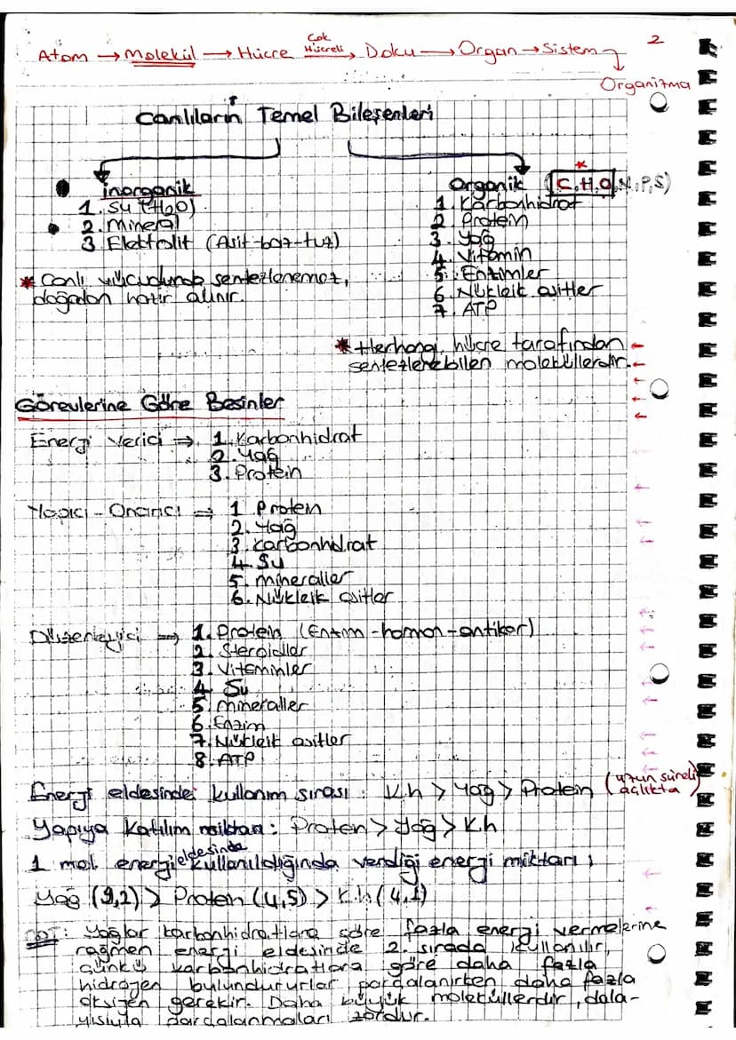 Cok
Atom Molekul Hücre Hücreli, Doku Organ Sistem
Canlıların Temel Bileşenleri
inorganik
1. 5477601
• 2. Mineral
3. Elektrolit (Asit-6017-tu