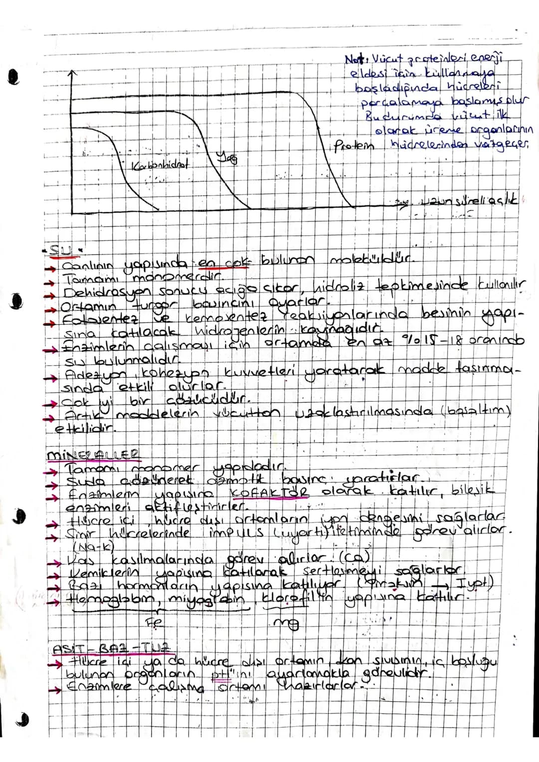 Cok
Atom Molekul Hücre Hücreli, Doku Organ Sistem
Canlıların Temel Bileşenleri
inorganik
1. 5477601
• 2. Mineral
3. Elektrolit (Asit-6017-tu