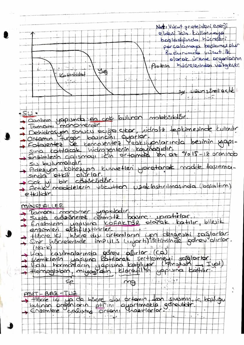 Cok
Atom Molekul Hücre Hücreli, Doku Organ Sistem
Canlıların Temel Bileşenleri
inorganik
1. 5477601
• 2. Mineral
3. Elektrolit (Asit-6017-tu