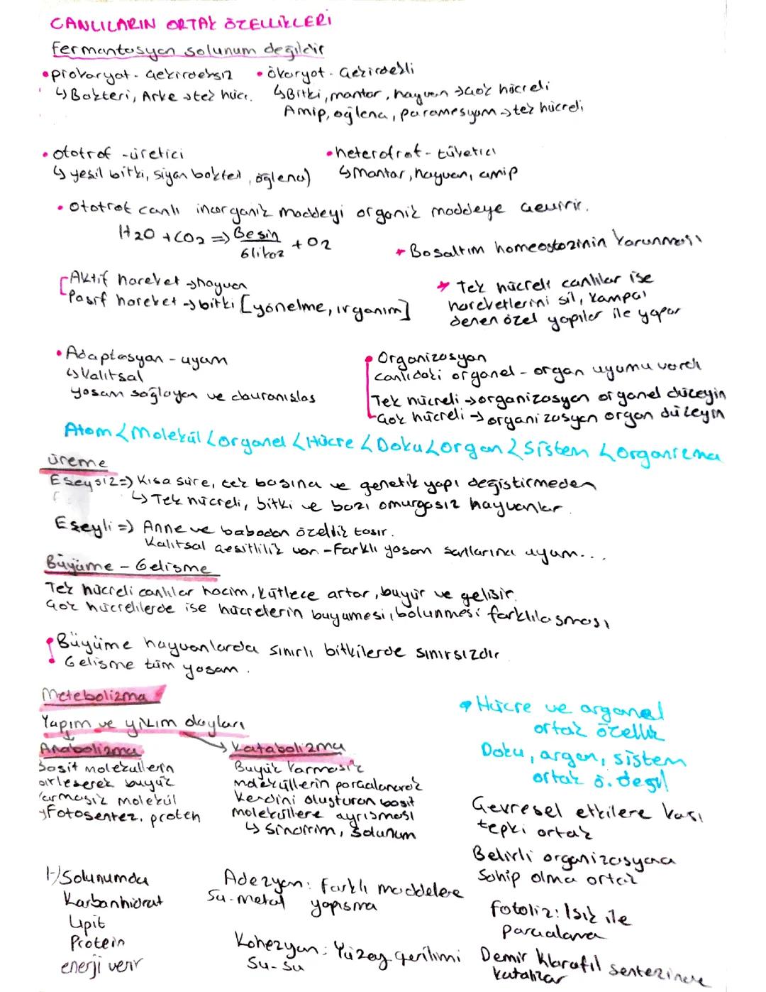 Tyt Biyoloji 1.Ünite sayfa 1