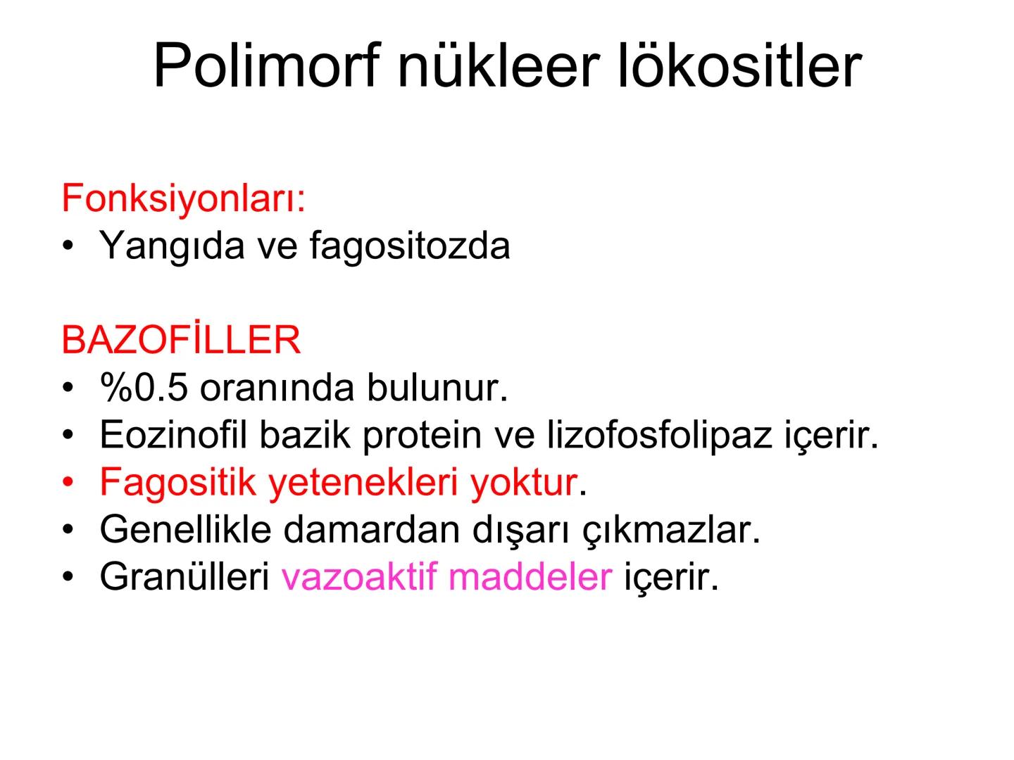 Spesifik bağışıklık
• 1-Aktif bağışıklık
• a
a-Doğal aktif (komensal, saprofitik, gida,
atlatılan enfeksiyonlar)
b- Yapay aktif (7-10 günde 