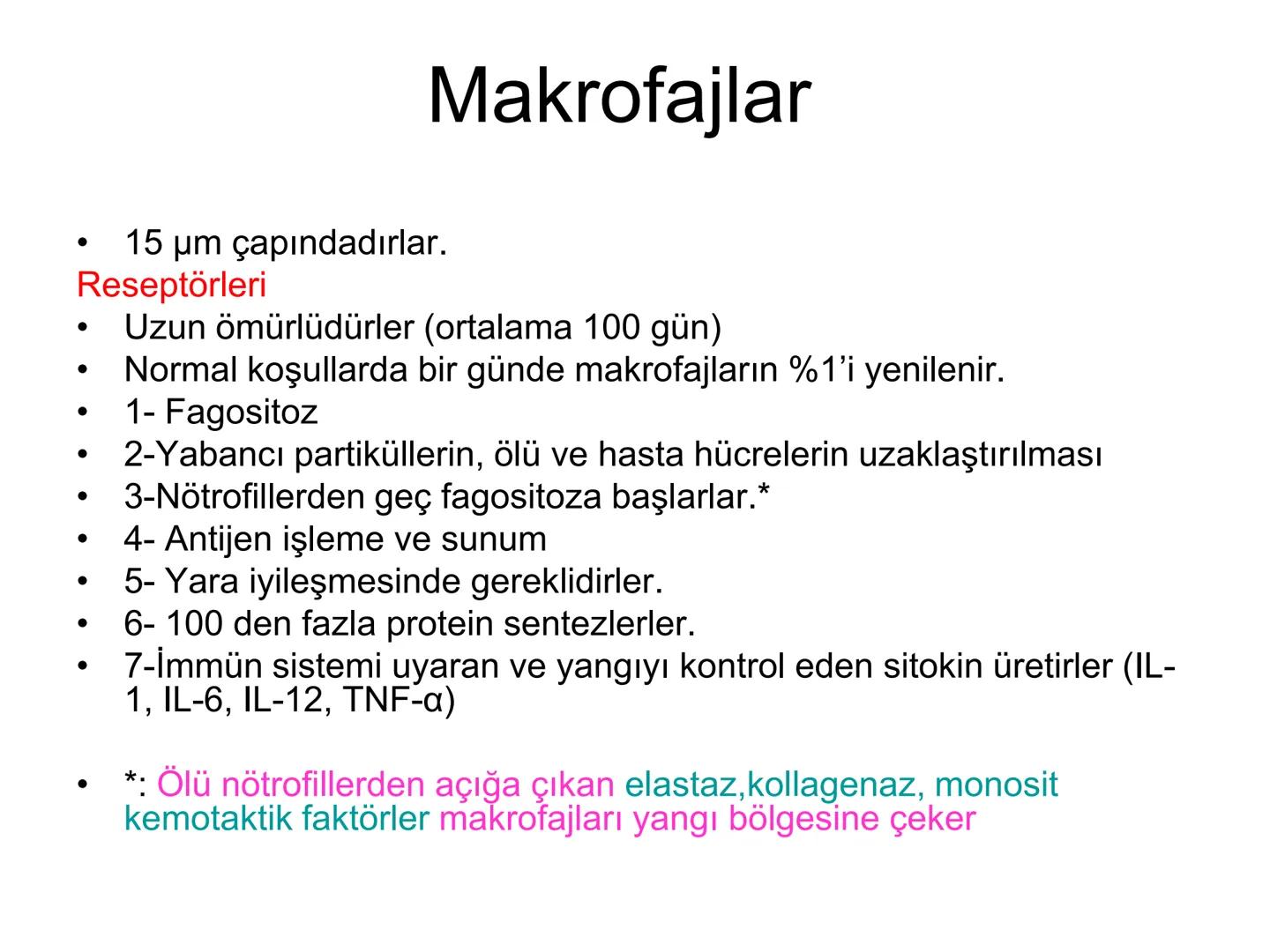 Spesifik bağışıklık
• 1-Aktif bağışıklık
• a
a-Doğal aktif (komensal, saprofitik, gida,
atlatılan enfeksiyonlar)
b- Yapay aktif (7-10 günde 