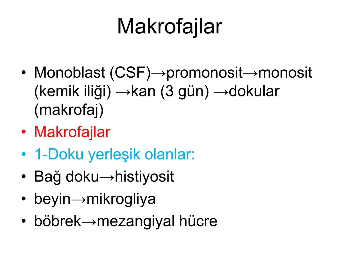 Spesifik bağışıklık
• 1-Aktif bağışıklık
• a
a-Doğal aktif (komensal, saprofitik, gida,
atlatılan enfeksiyonlar)
b- Yapay aktif (7-10 günde 