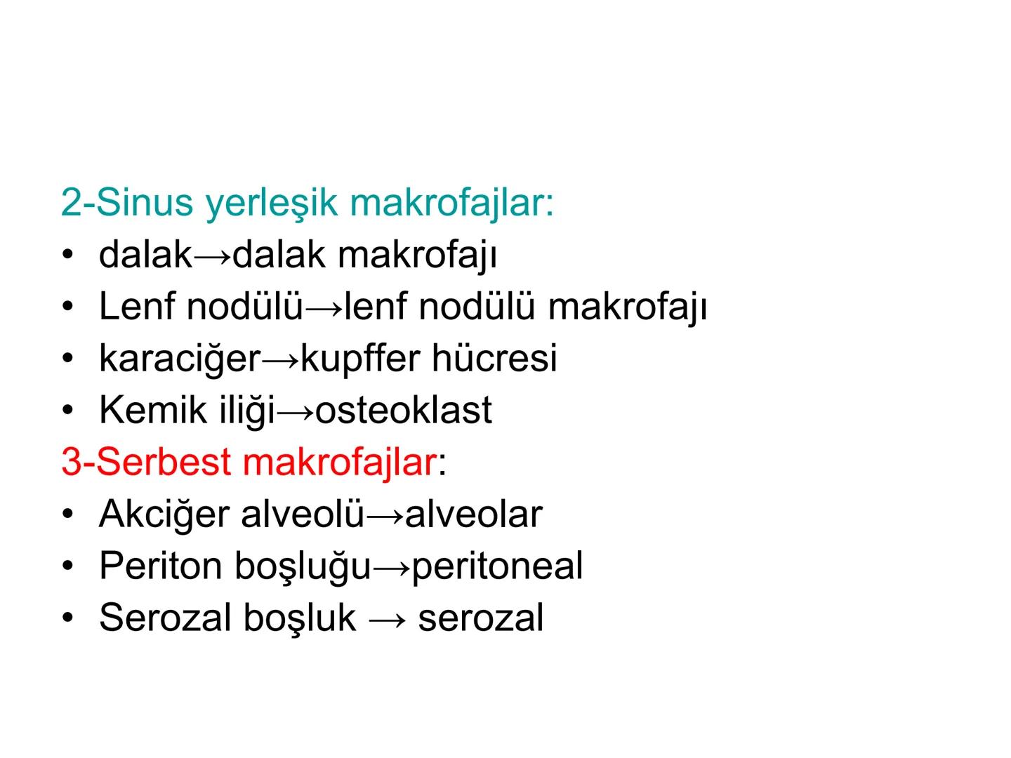 Spesifik bağışıklık
• 1-Aktif bağışıklık
• a
a-Doğal aktif (komensal, saprofitik, gida,
atlatılan enfeksiyonlar)
b- Yapay aktif (7-10 günde 