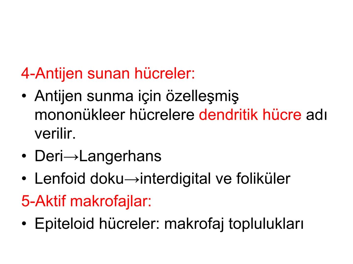 Spesifik bağışıklık
• 1-Aktif bağışıklık
• a
a-Doğal aktif (komensal, saprofitik, gida,
atlatılan enfeksiyonlar)
b- Yapay aktif (7-10 günde 