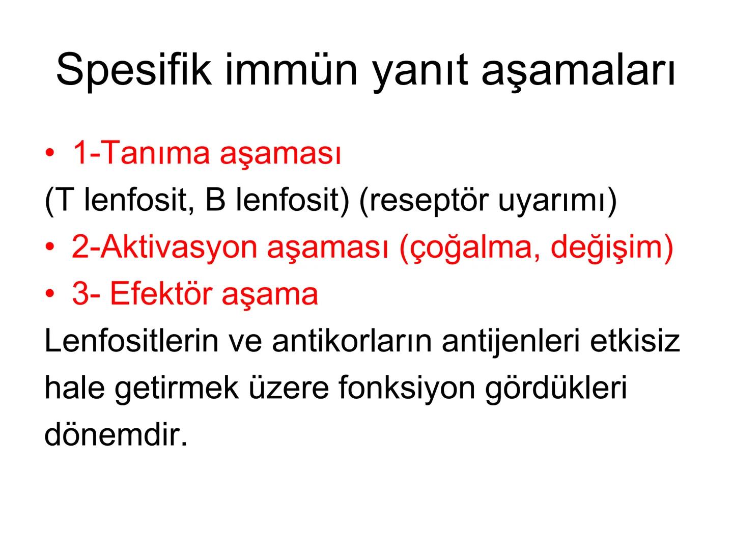 Spesifik bağışıklık
• 1-Aktif bağışıklık
• a
a-Doğal aktif (komensal, saprofitik, gida,
atlatılan enfeksiyonlar)
b- Yapay aktif (7-10 günde 