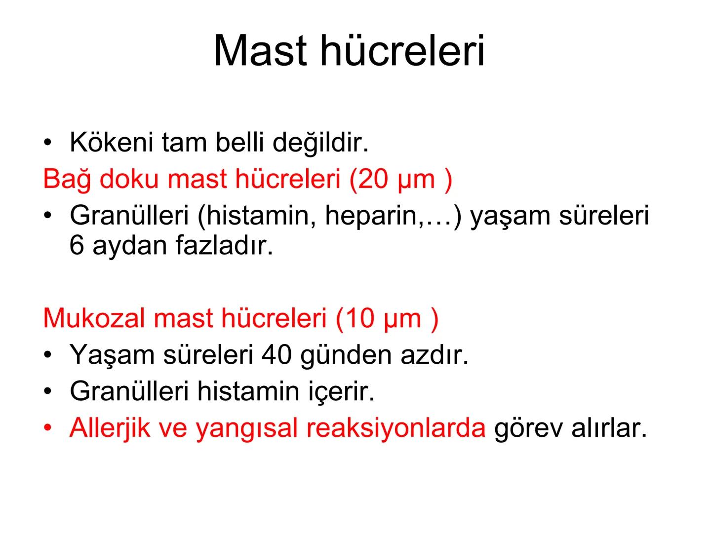 Spesifik bağışıklık
• 1-Aktif bağışıklık
• a
a-Doğal aktif (komensal, saprofitik, gida,
atlatılan enfeksiyonlar)
b- Yapay aktif (7-10 günde 